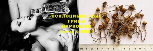 хмурый Мегион