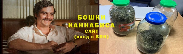 хмурый Мегион