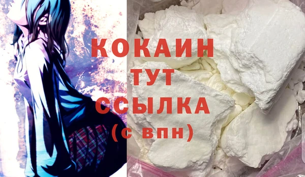 хмурый Мегион