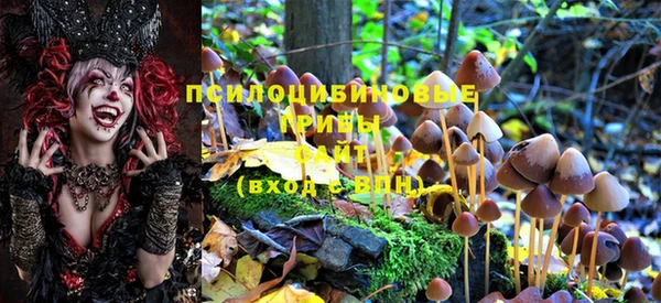 гидропоника Медногорск