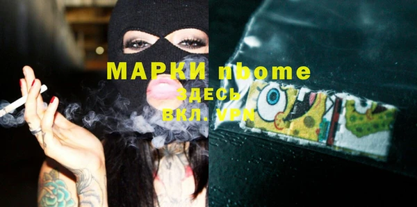 хмурый Мегион