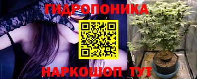 spice Гай