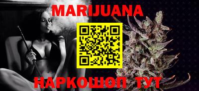 Альфа ПВП Гатчина
