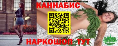 Альфа ПВП Гатчина
