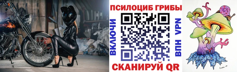 купить закладку  Алатырь  ОМГ ОМГ рабочий сайт  Псилоцибиновые грибы MAGIC MUSHROOMS 
