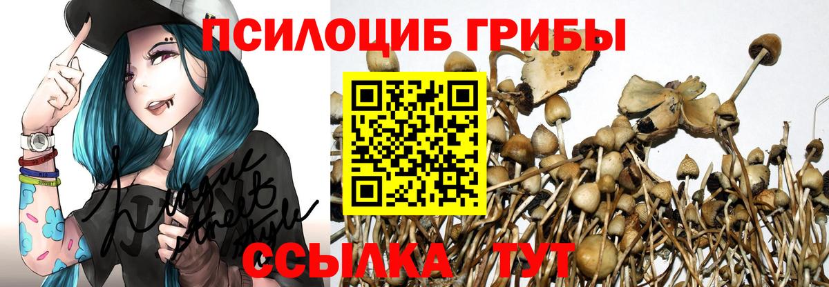 Галлюциногенные грибы MAGIC MUSHROOMS Алатырь