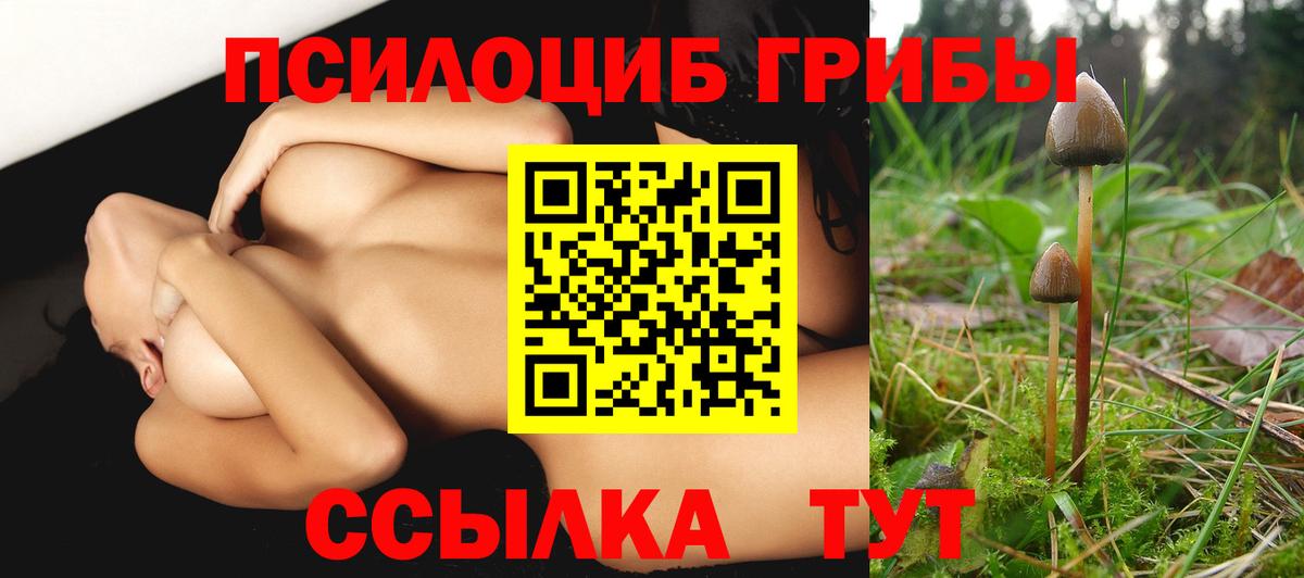 Псилоцибиновые грибы Psilocybe Алатырь