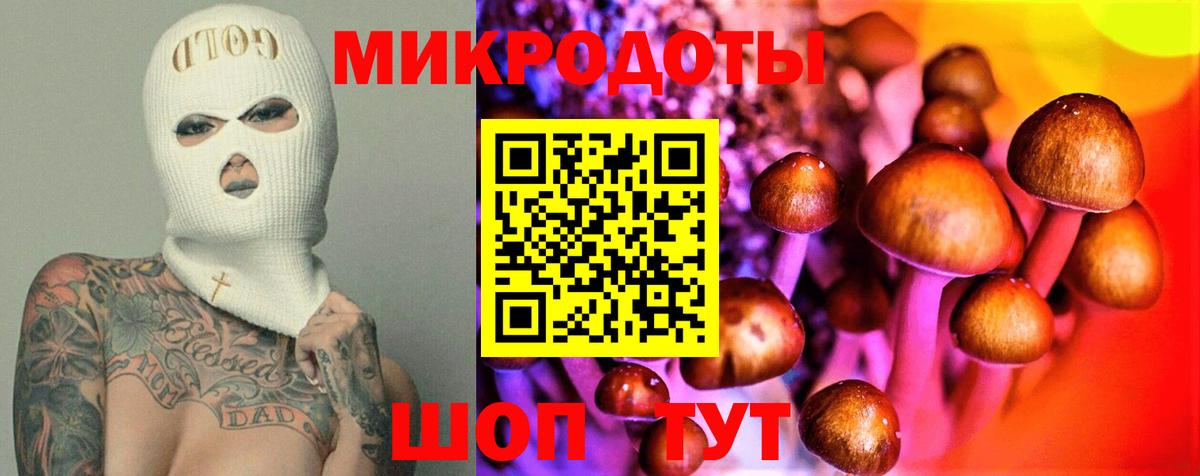 купить   Вход с VPN  Алатырь  Псилоцибиновые грибы Magic Shrooms 