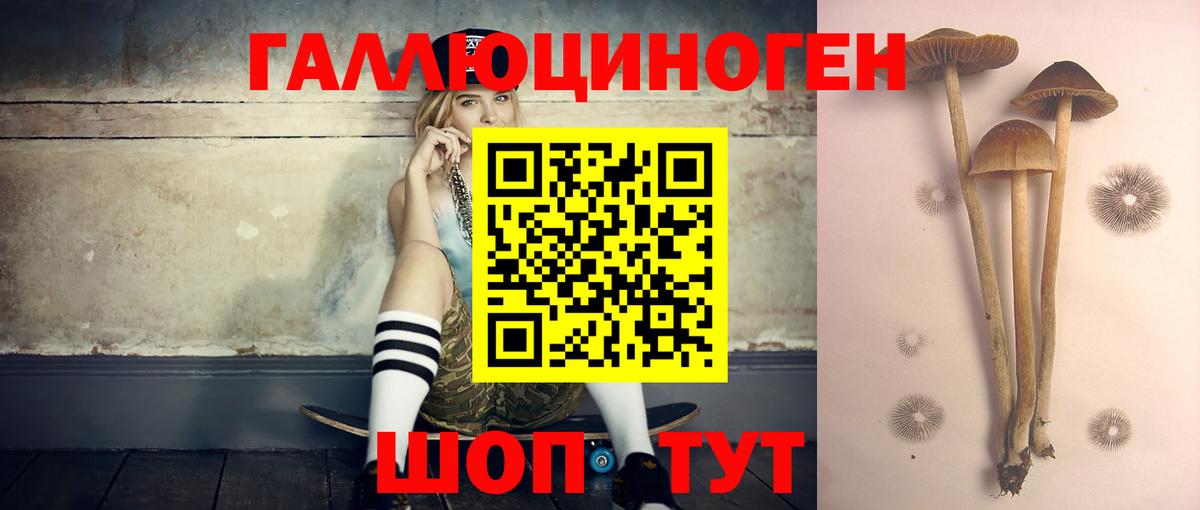 Псилоцибиновые грибы мицелий Алатырь