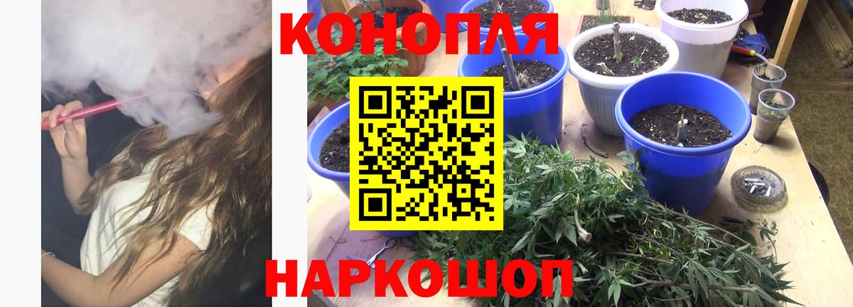 Шишки марихуана план Алатырь