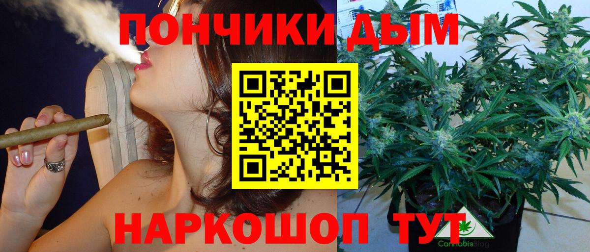 Конопля Bruce Banner  Марихуана сатива  Вход с VPN  Алатырь  Каннабис индика 